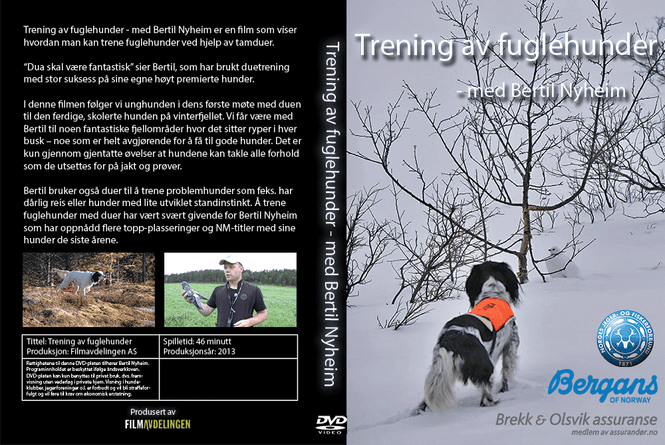 Hovedbilde Fuglehundtrening - med Bertil Nyheim