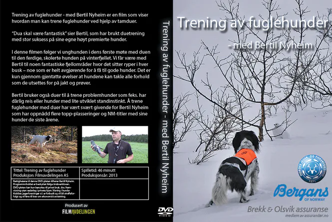 Hovedbilde Fuglehundtrening - med Bertil Nyheim